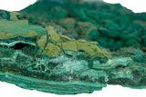 Teal Botryoidal Chrysocolla and Malachite - Chile #310127-1